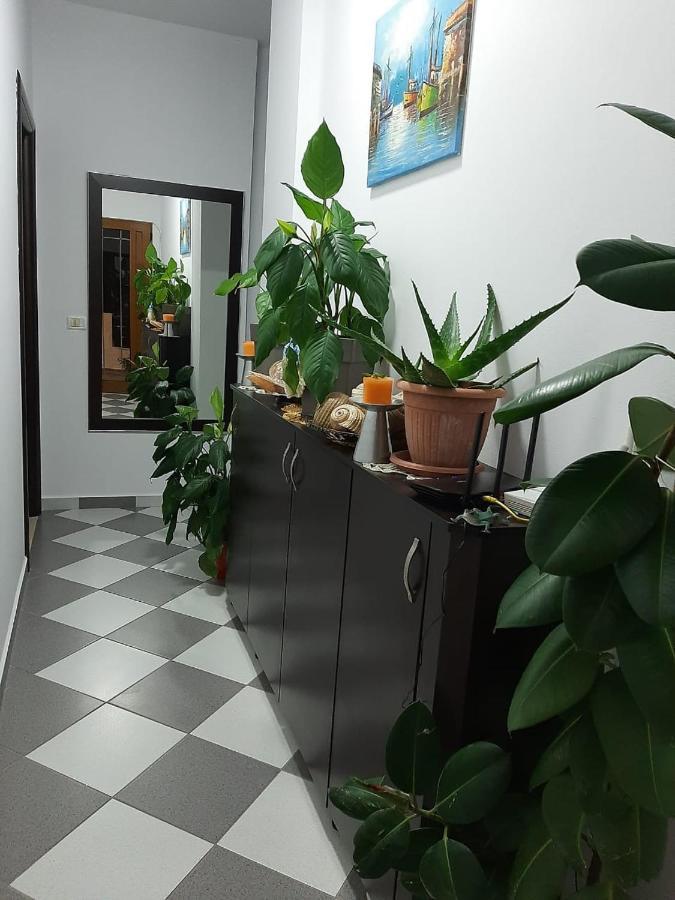 Guesthouse Jasmine 卡萨米尔 外观 照片