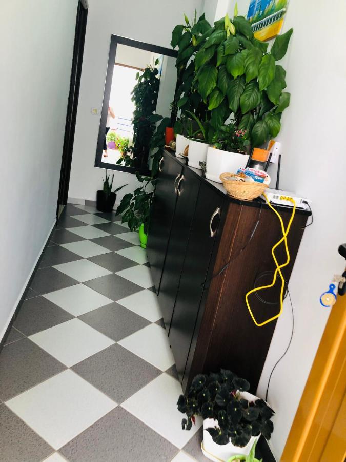 Guesthouse Jasmine 卡萨米尔 外观 照片