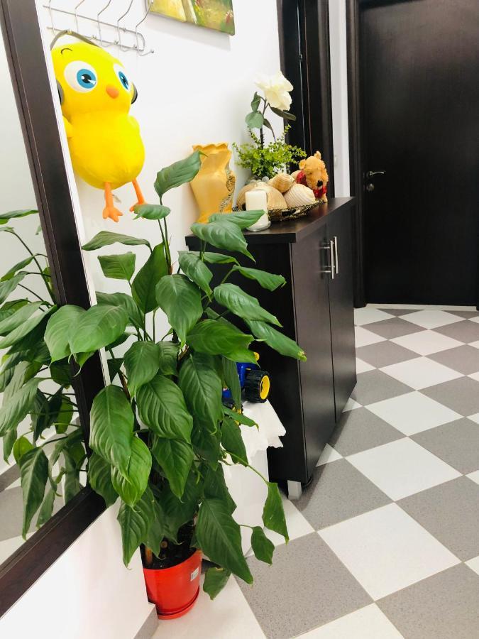 Guesthouse Jasmine 卡萨米尔 外观 照片