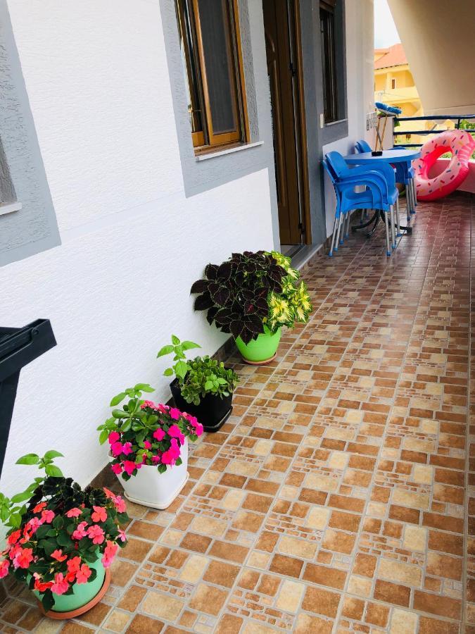 Guesthouse Jasmine 卡萨米尔 外观 照片