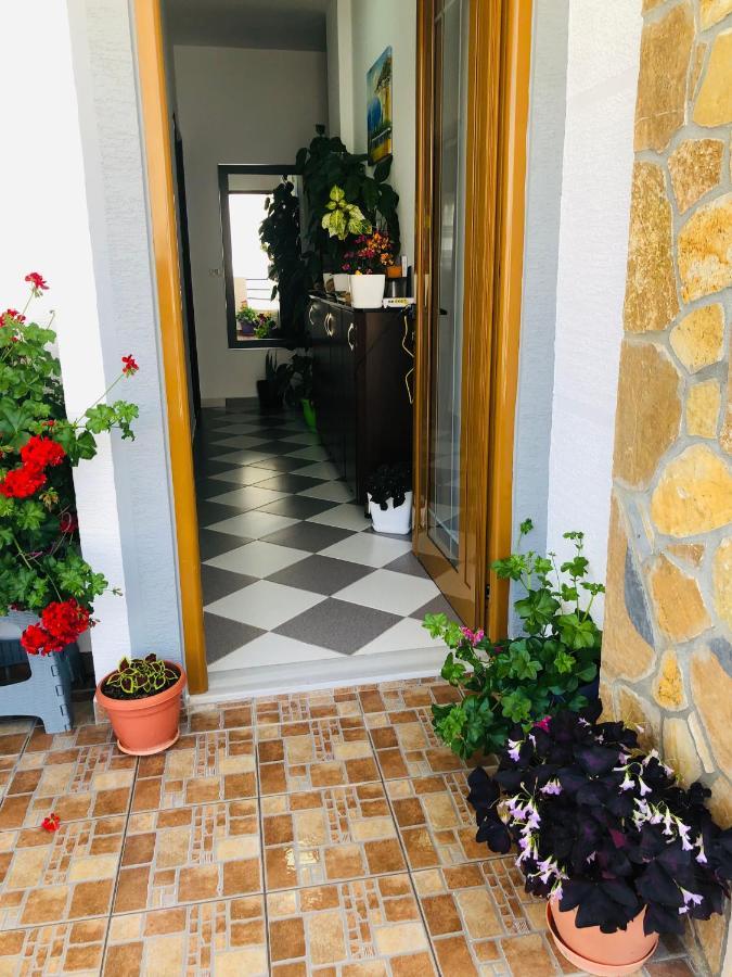 Guesthouse Jasmine 卡萨米尔 外观 照片